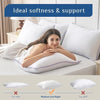 JOLLYVOGUE Pillows Queen Size Set of 2, Soft Supportive Bed Pillows with Super Soft Down Alternative Fill
